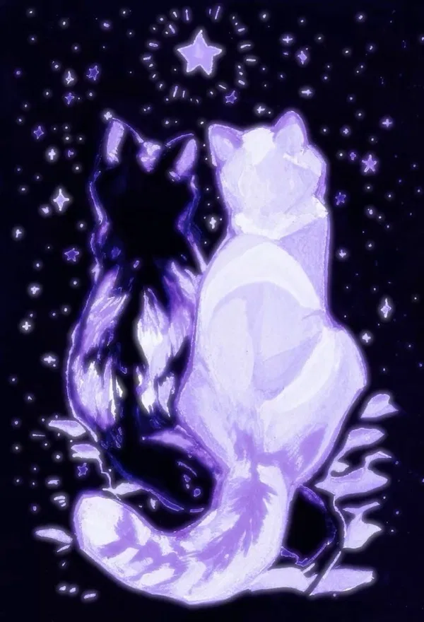 Avatar of Sewshi