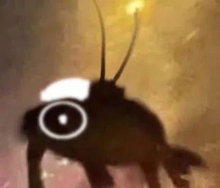 Avatar of Bon o Bon