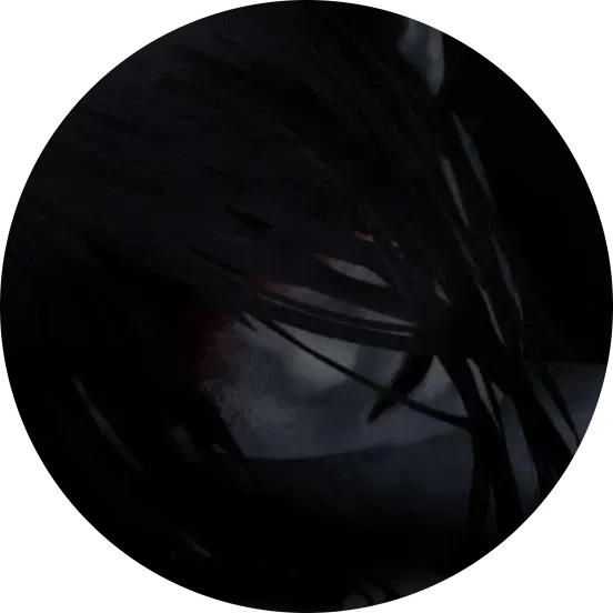 Avatar of voxdaemonium