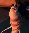 Avatar of bachinskination