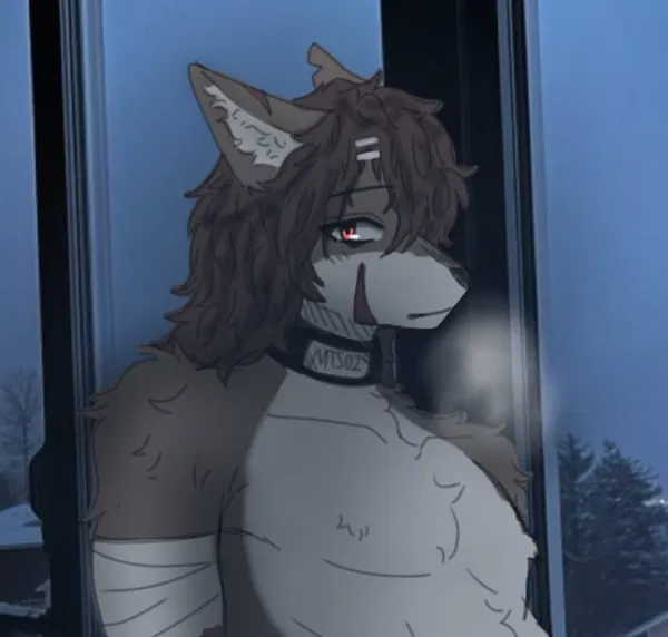 Avatar of Ookami-San