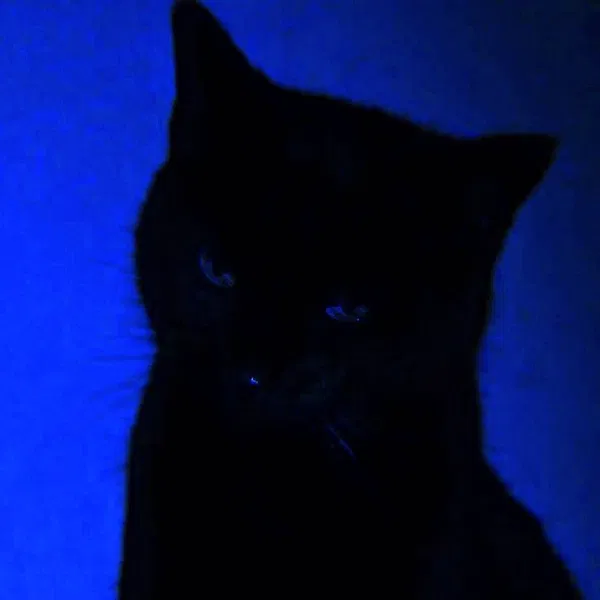 Avatar of sunna333_