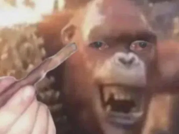 Avatar of Wtfamidoingherelmao69
