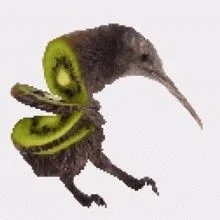 Avatar of lazycreator
