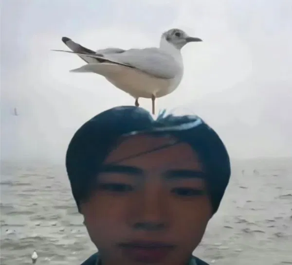 Avatar of Ghosttaoo