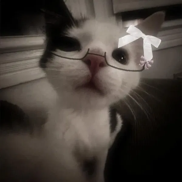 Avatar of @liluu