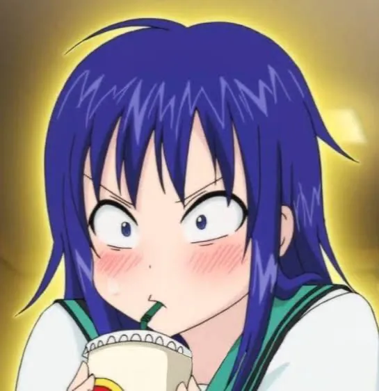 Avatar of Stupidracoon
