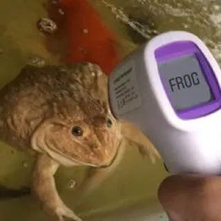 Avatar of Blin_frog