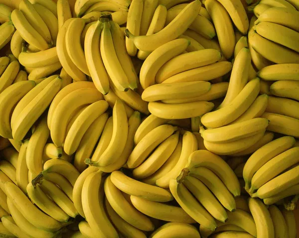 Avatar of Mr Banana