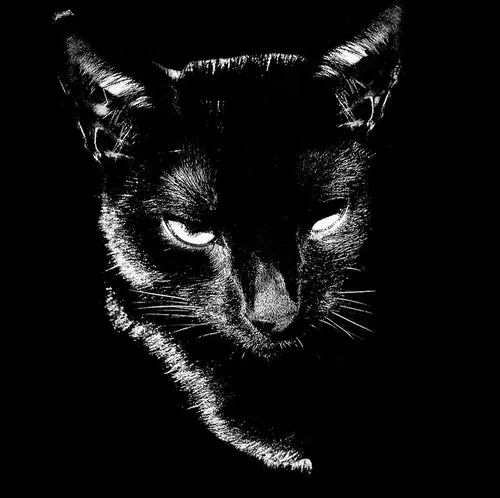 Avatar of III_deunknownnnnn