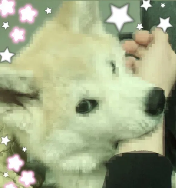 Avatar of Alexanbers