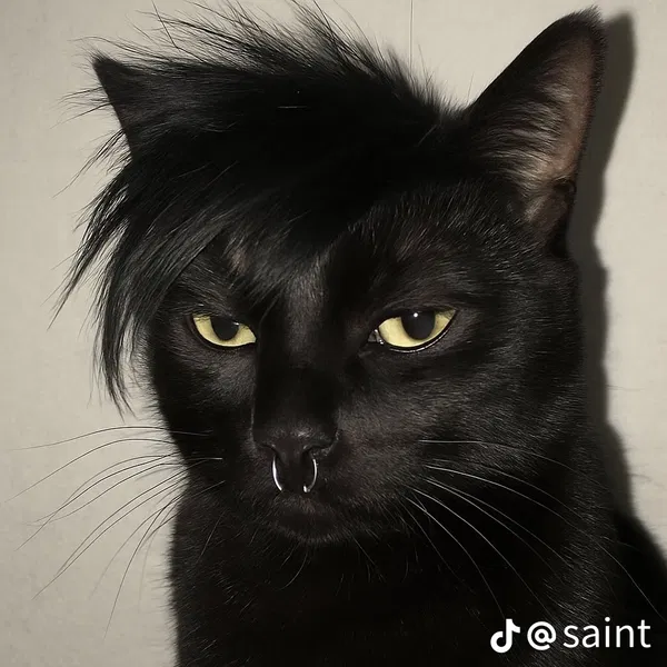 Avatar of Ass_modeus_