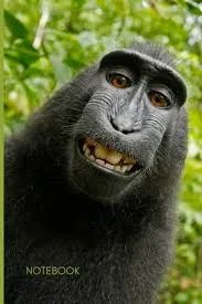 Avatar of Dummydumb