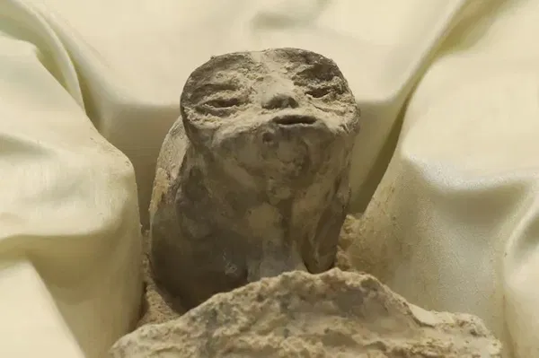 Avatar of Mr. B the alien