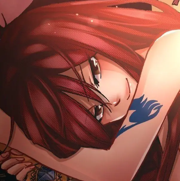 Avatar of Erza Scarlet