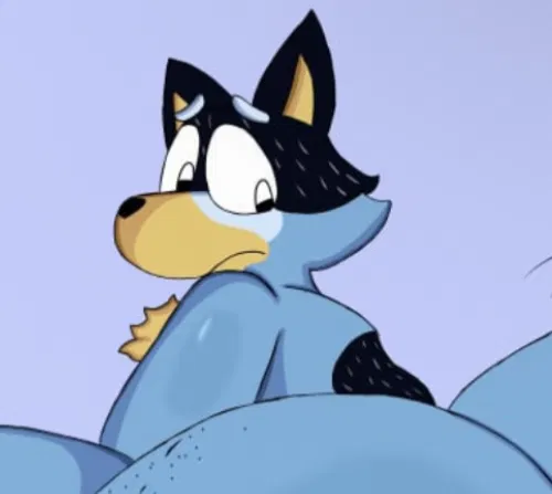Avatar of Bandit Heeler (Bluey)