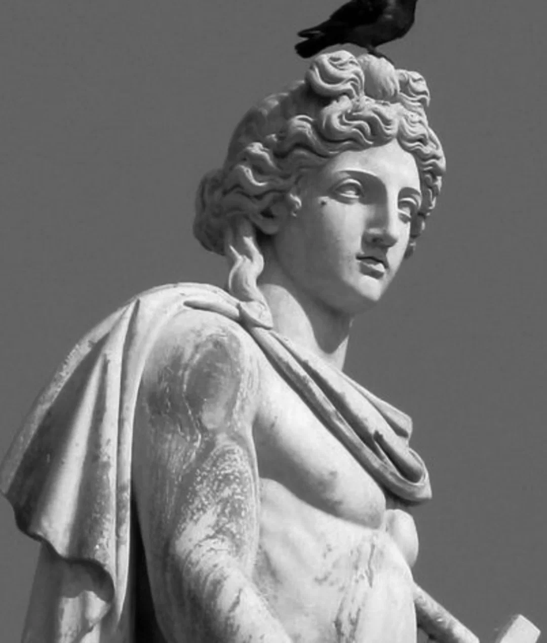 Avatar of APOLLON