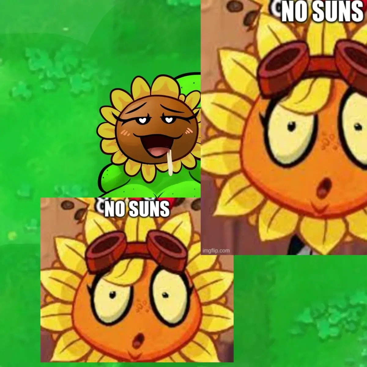 Avatar of Sunflower (PVZ 1)