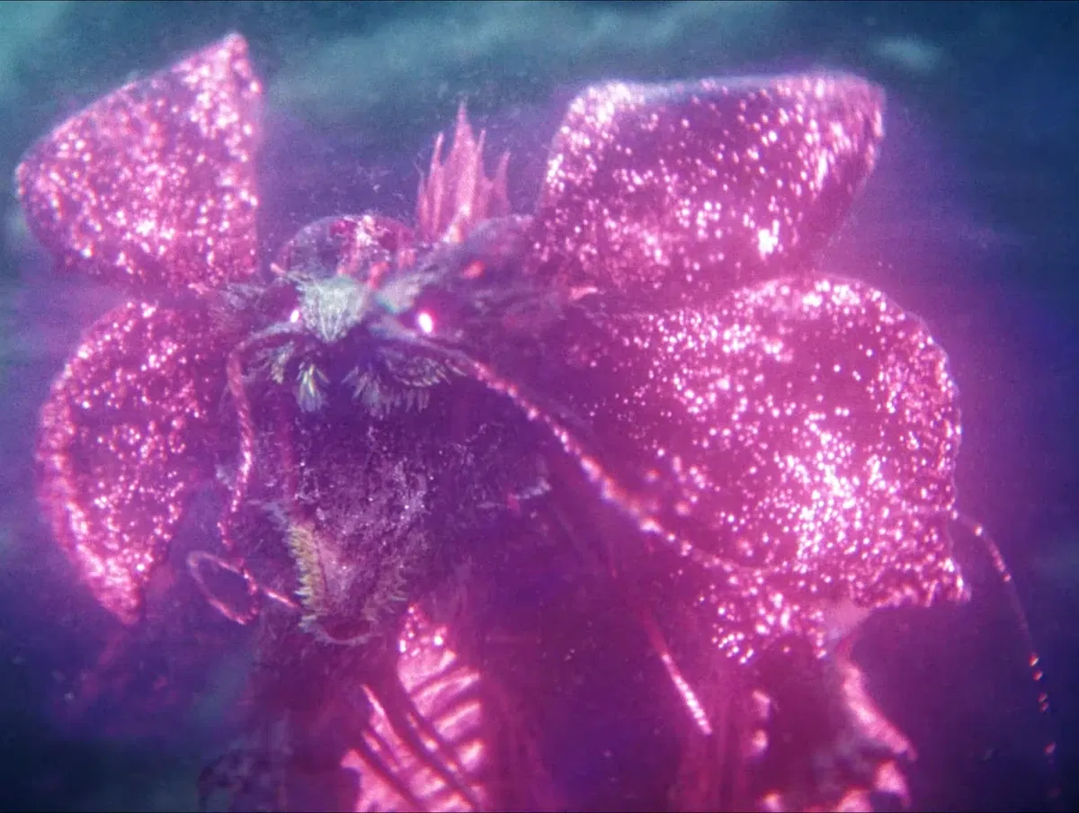 Avatar of Titanus Tiamat