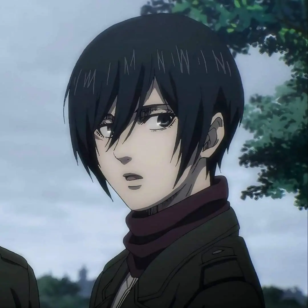 Avatar of Mikasa Ackerman