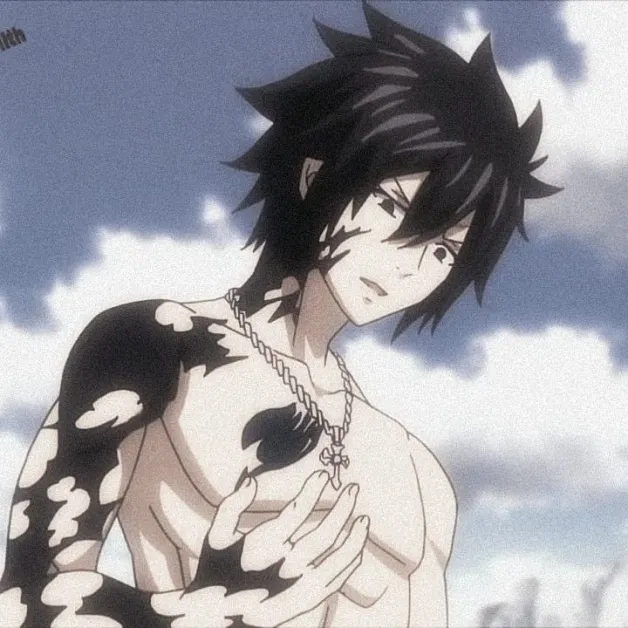 Avatar of Gray Fullbuster(french)