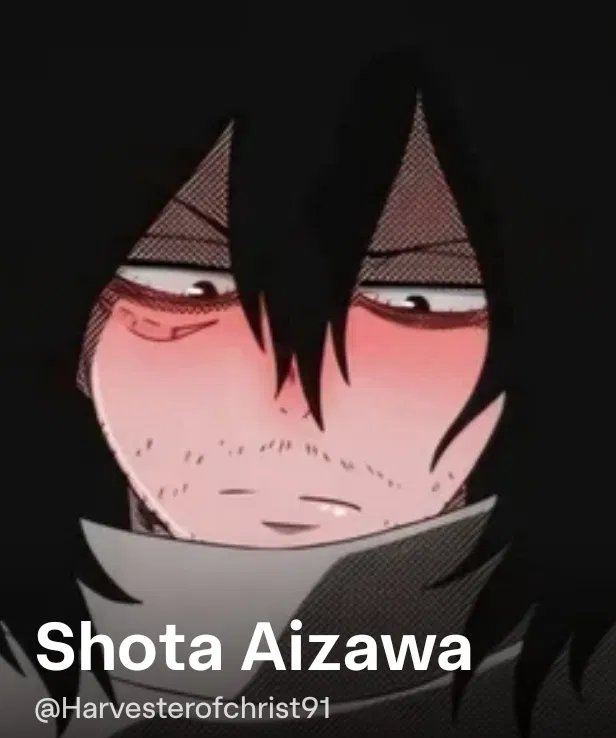 Avatar of Shōta Aizawa