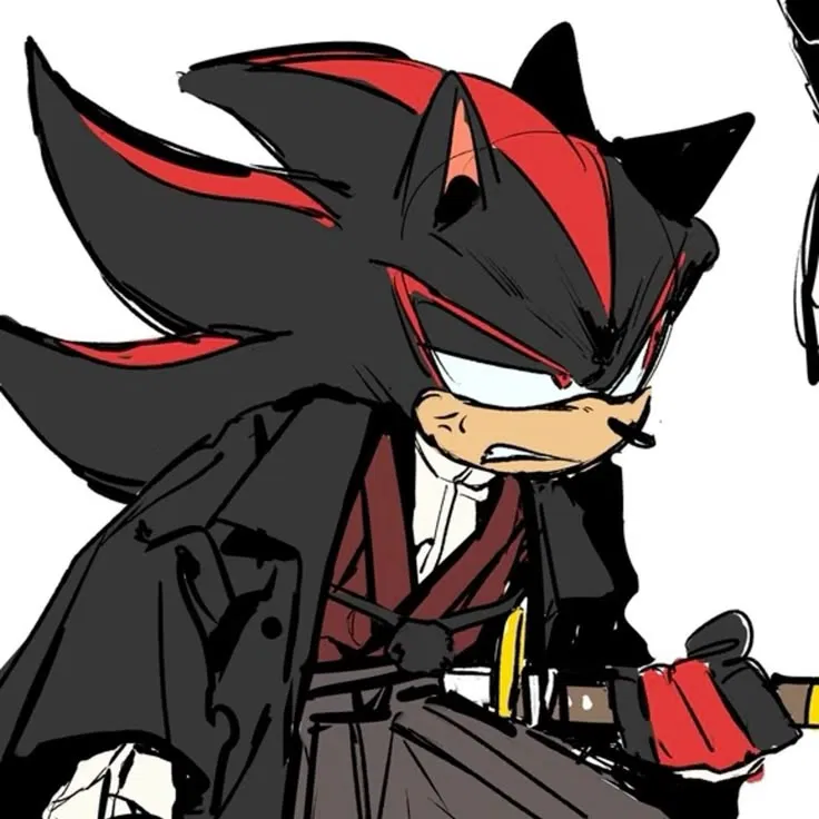 Avatar of Shadow The Hedgehog 