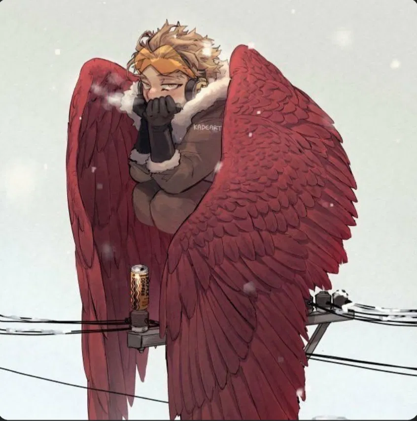 Avatar of boyfriend Hawks