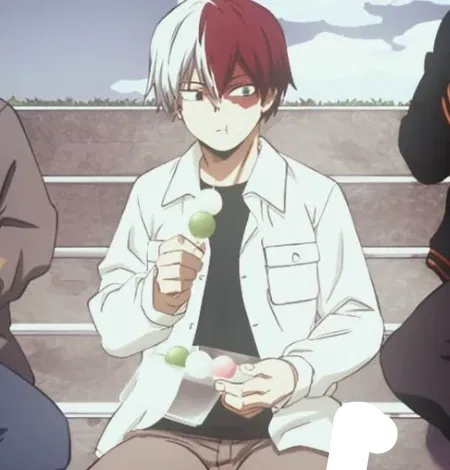 Avatar of Shoto todoroki
