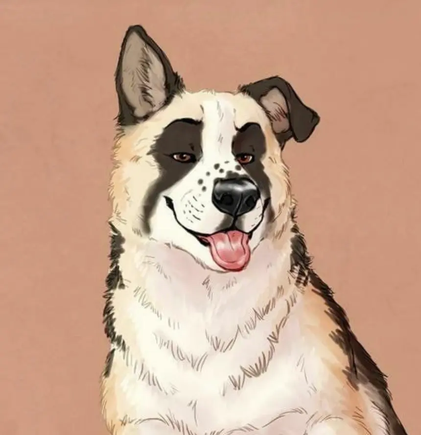 Avatar of Dog «Krigo»