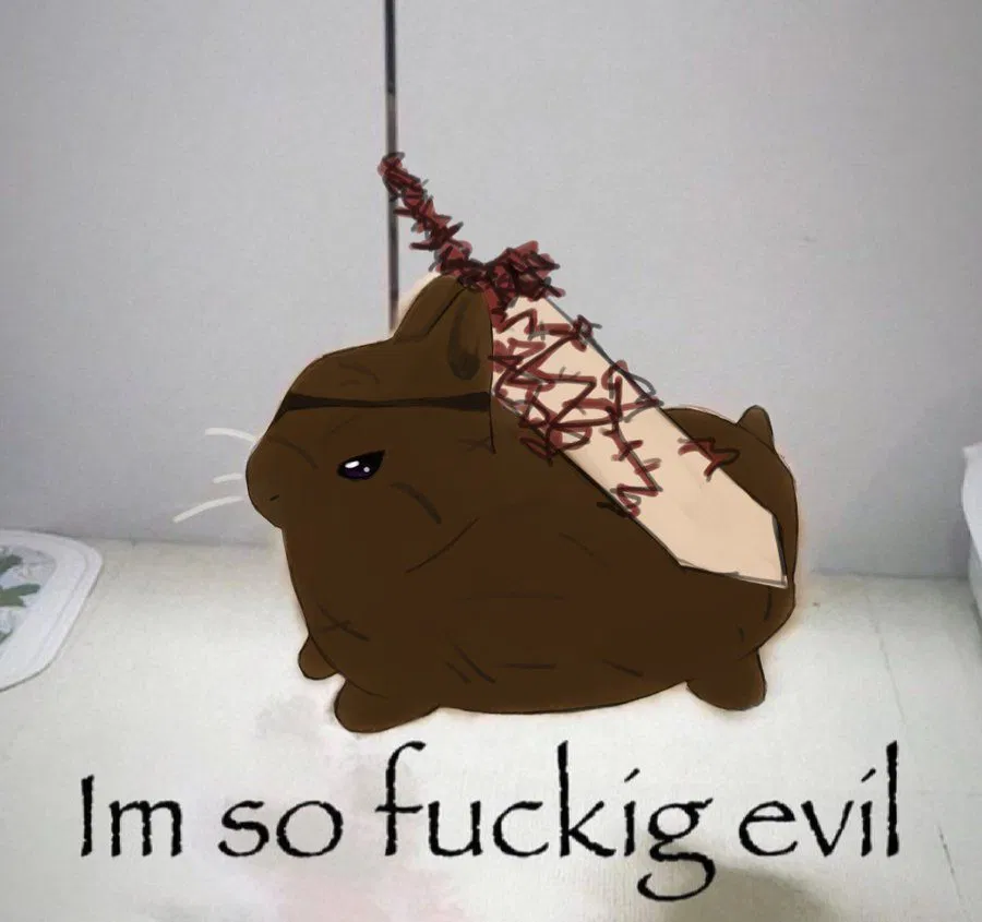 Avatar of new bot suggestions i will probably maybe definitely not do but possibly do