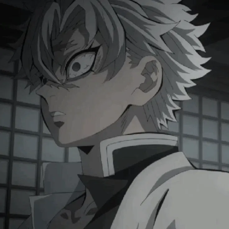 Avatar of Sanemi Shinazugawa.ᐟ ᝰ꒰༄꒱