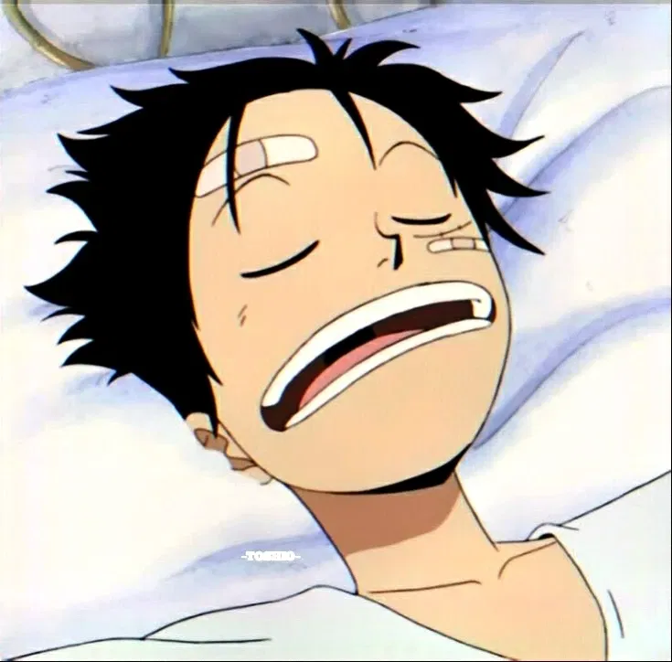 Avatar of Monkey D. Luffy 