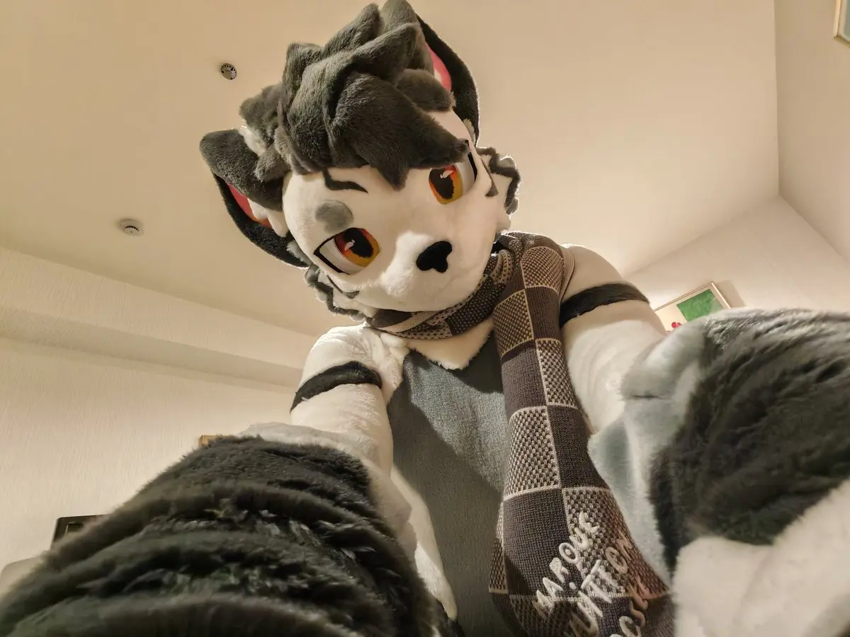 Avatar of Furrygintan