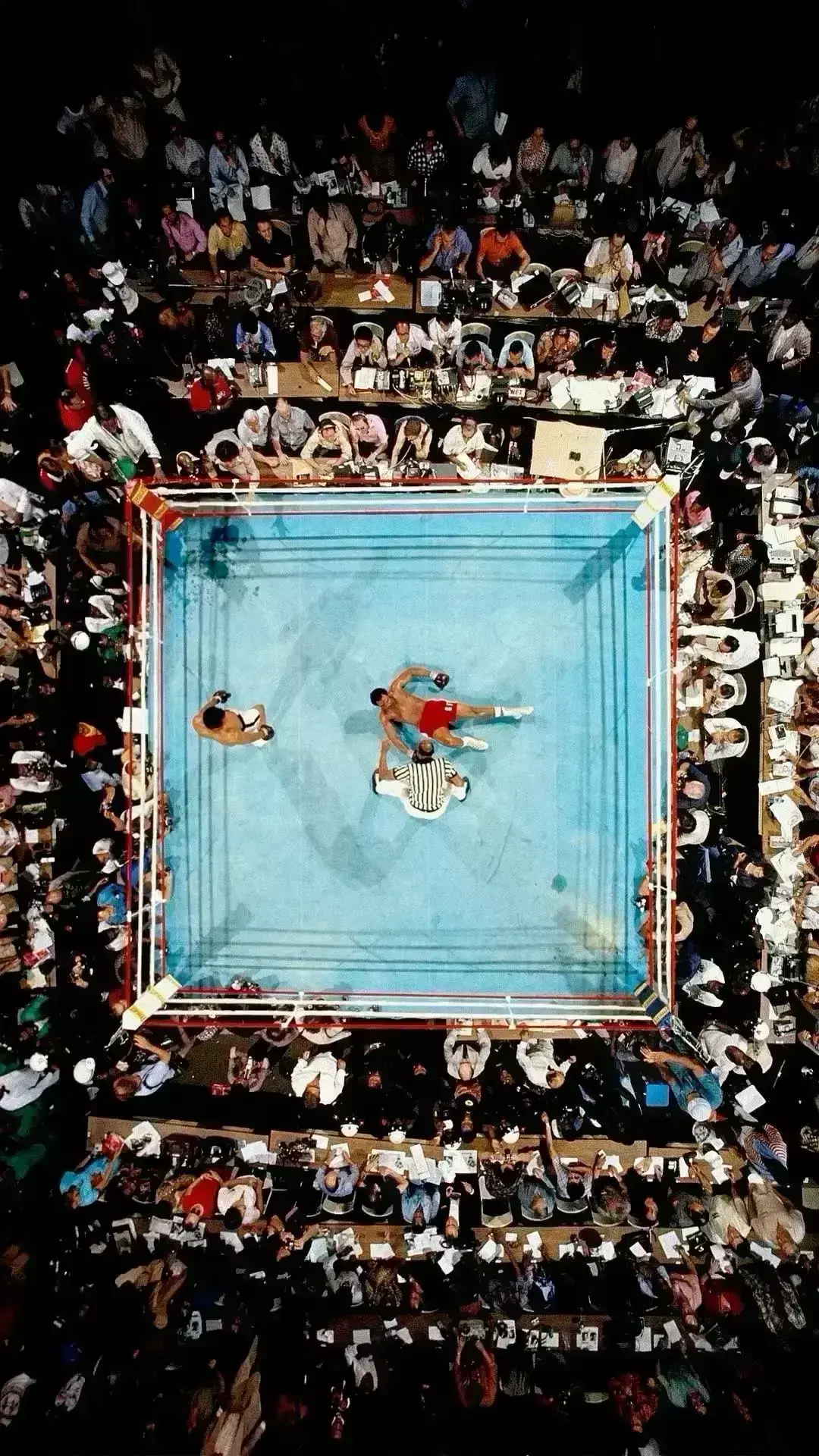 Avatar of pop mma