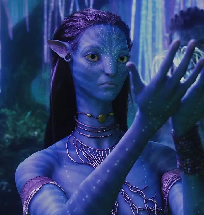 Avatar of Neytiri ⁺◟| Avatar