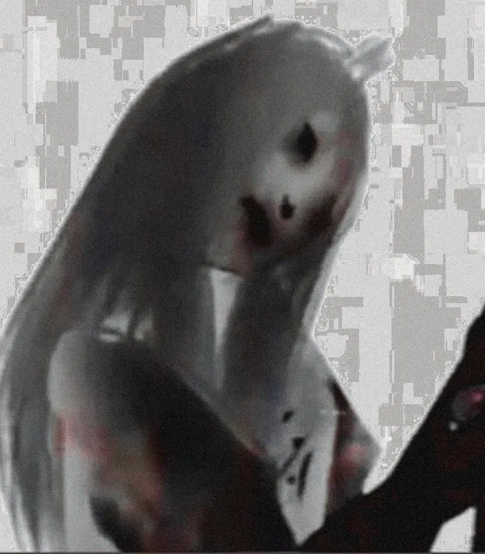 Avatar of Susan Woodings 
