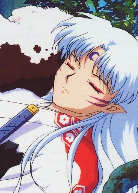 Avatar of Sesshomaru 