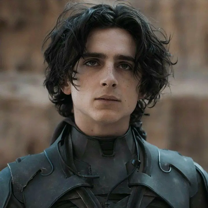 Avatar of Paul Atreides
