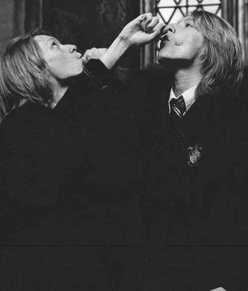 Avatar of Fred and George Weasley