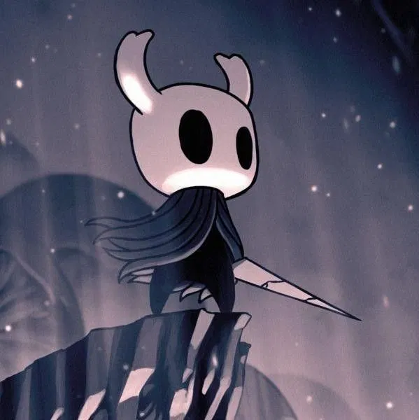 Avatar of Hollow Knight Fantasy World
