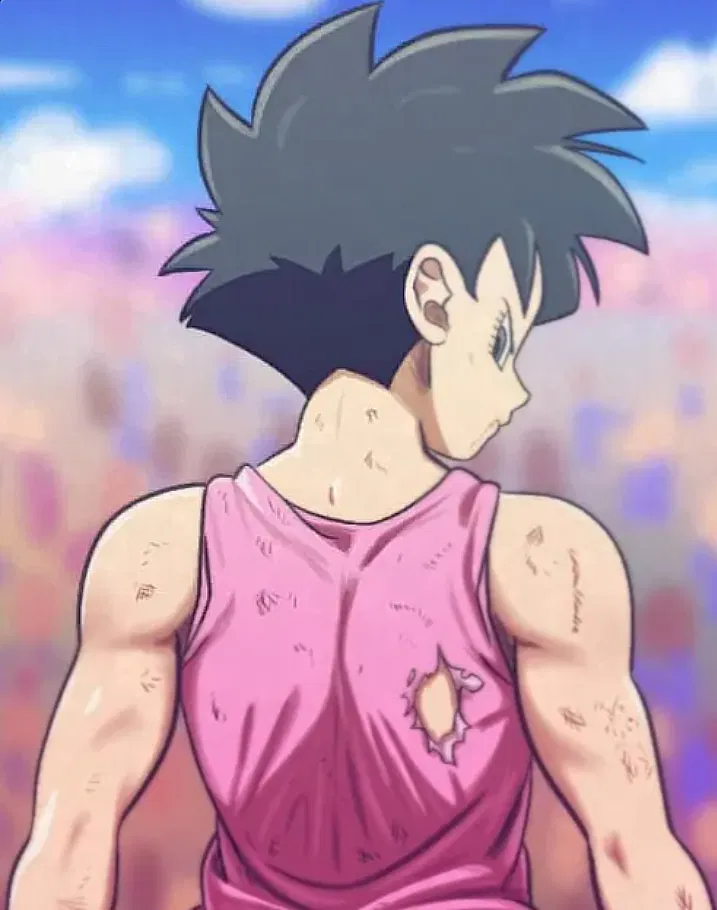 Avatar of Videl (DBZ)