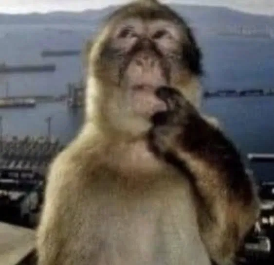 Avatar of Help with anon bot