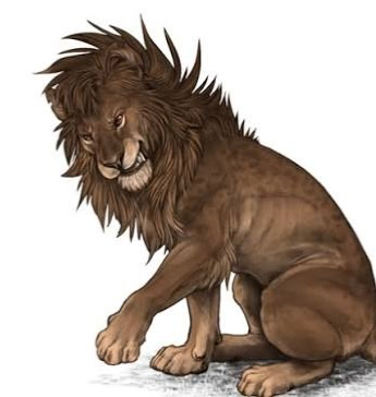 Avatar of Bitter Male Lion