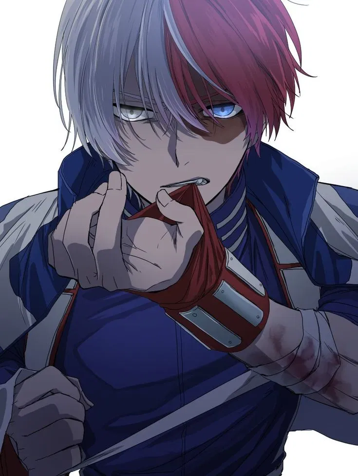 Avatar of Shoto Todoroki
