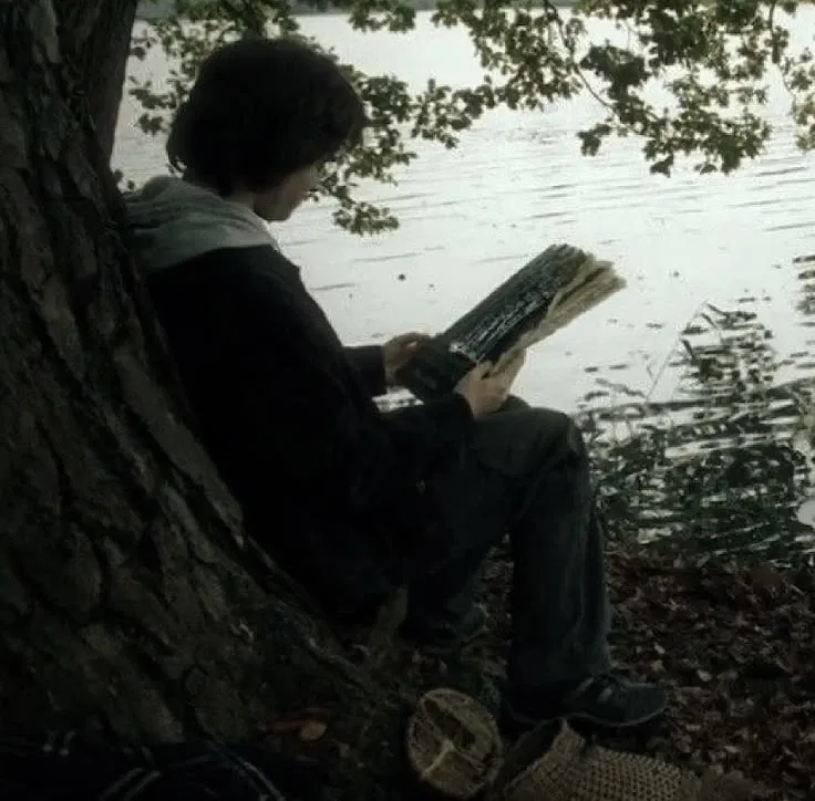 Avatar of Harry Potter