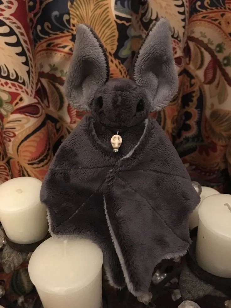 Avatar of 🦇✨Amora the bat✨🦇