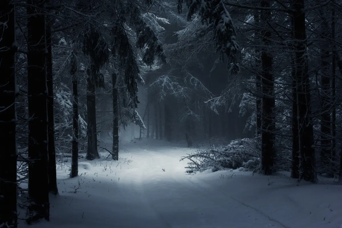 Avatar of Stalked in the woods