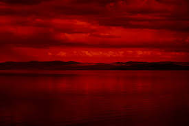 Avatar of THE WORLD LOOKS RED.