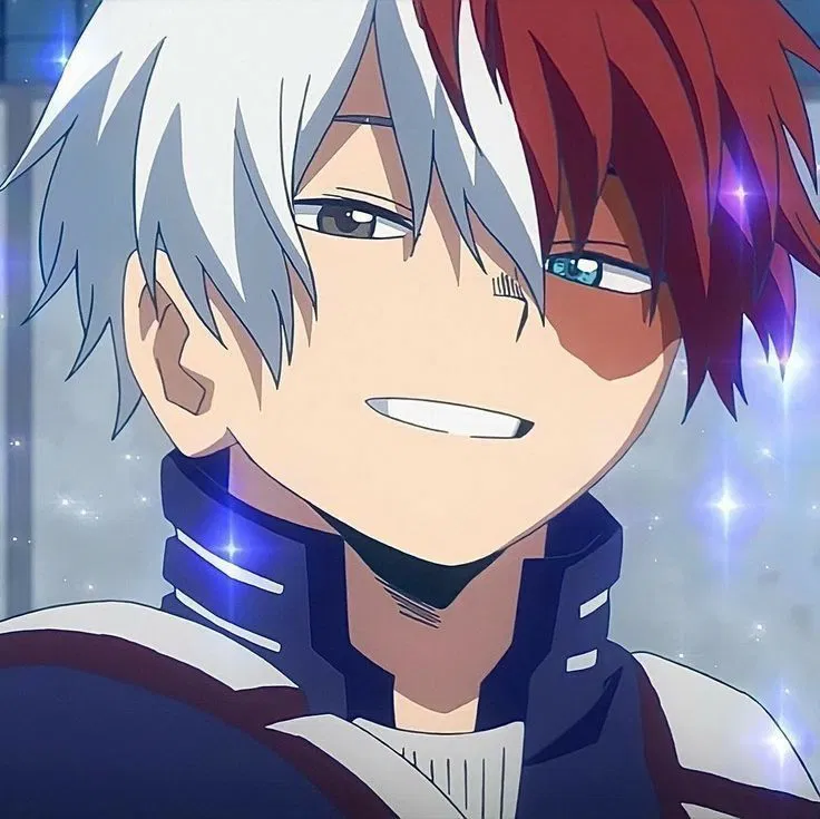 Avatar of ⋆౨ৎ˚⟡˖࣪Shoto Todoroki⋆౨ৎ˚⟡˖࣪